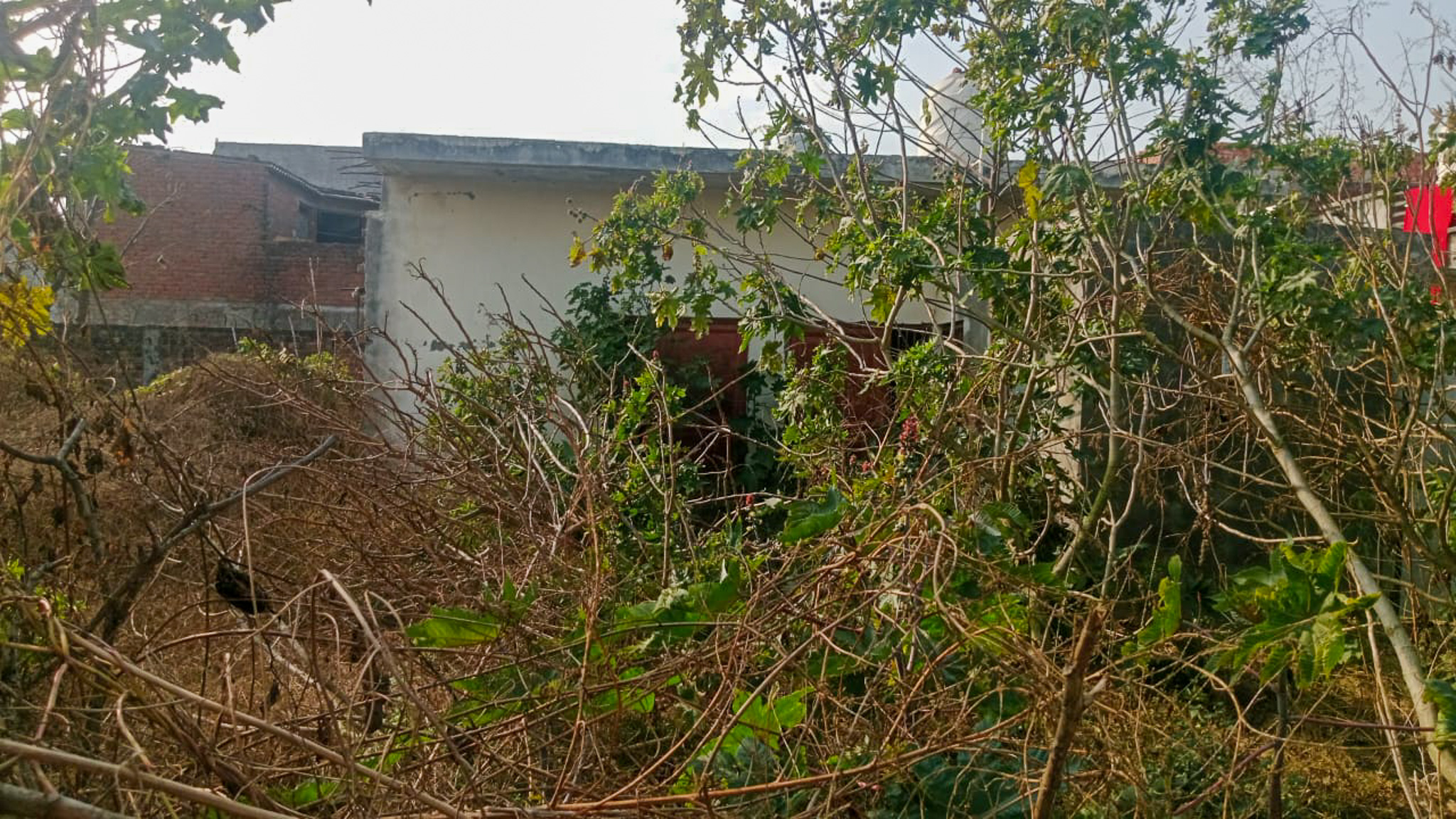 Punjab National Bank Auctions for Residential property in Amritsar, Punjab image 16 of 24 in Amritsar, Amritsar | Punjab National Bank auction property