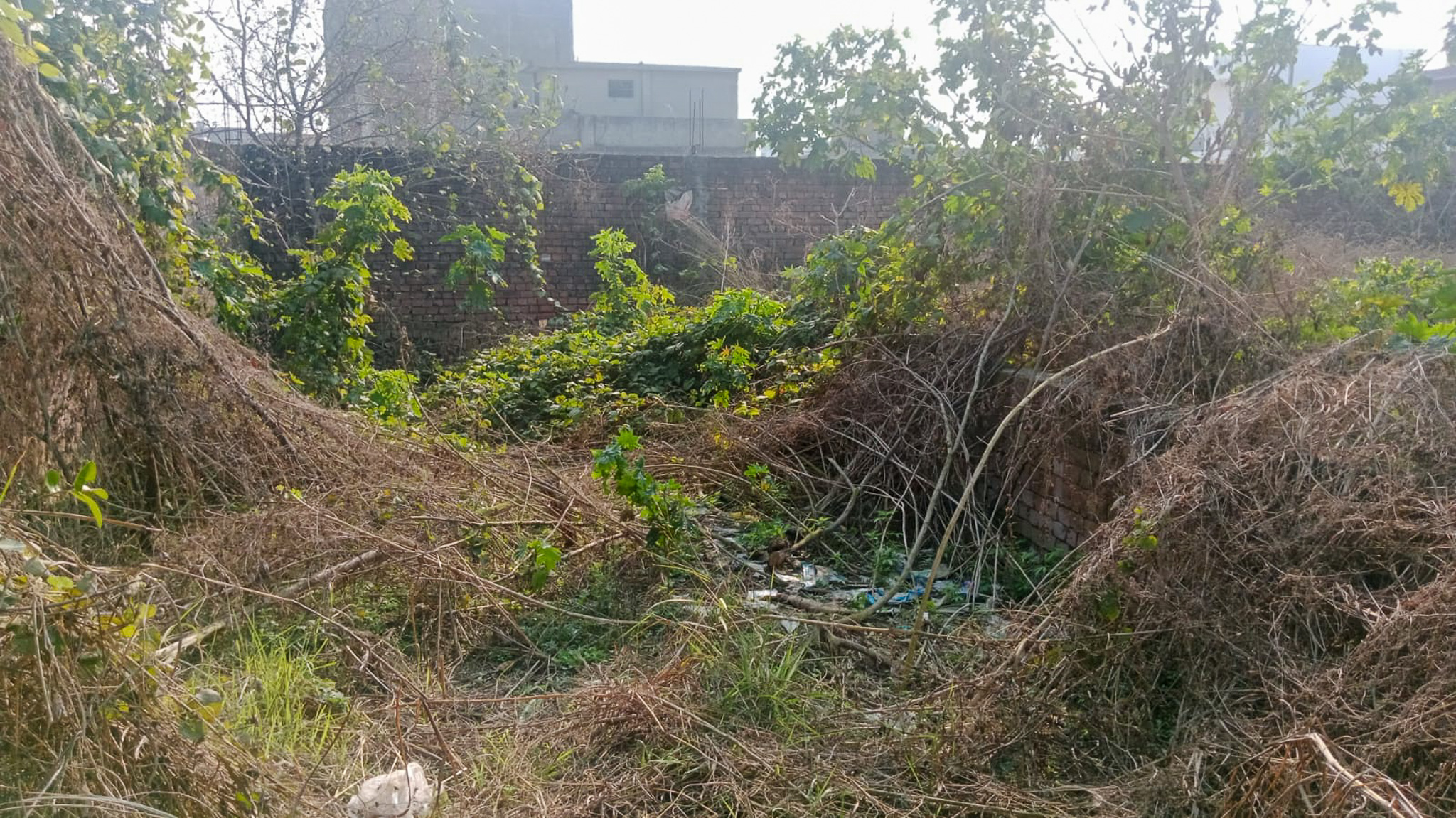 Punjab National Bank Auctions for Residential property in Amritsar, Punjab image 18 of 24 in Amritsar, Amritsar | Punjab National Bank auction property