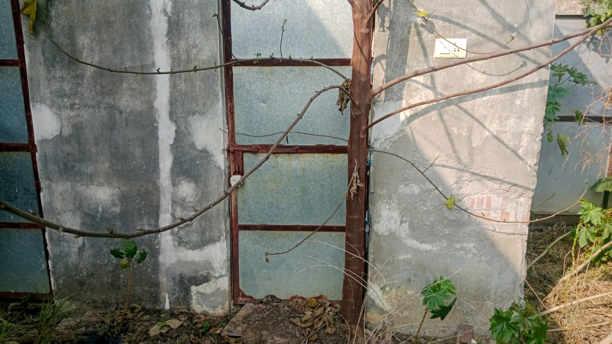 Punjab National Bank Auctions for Residential property in Amritsar, Punjab image 7 of 24 in Amritsar, Amritsar | Punjab National Bank auction property