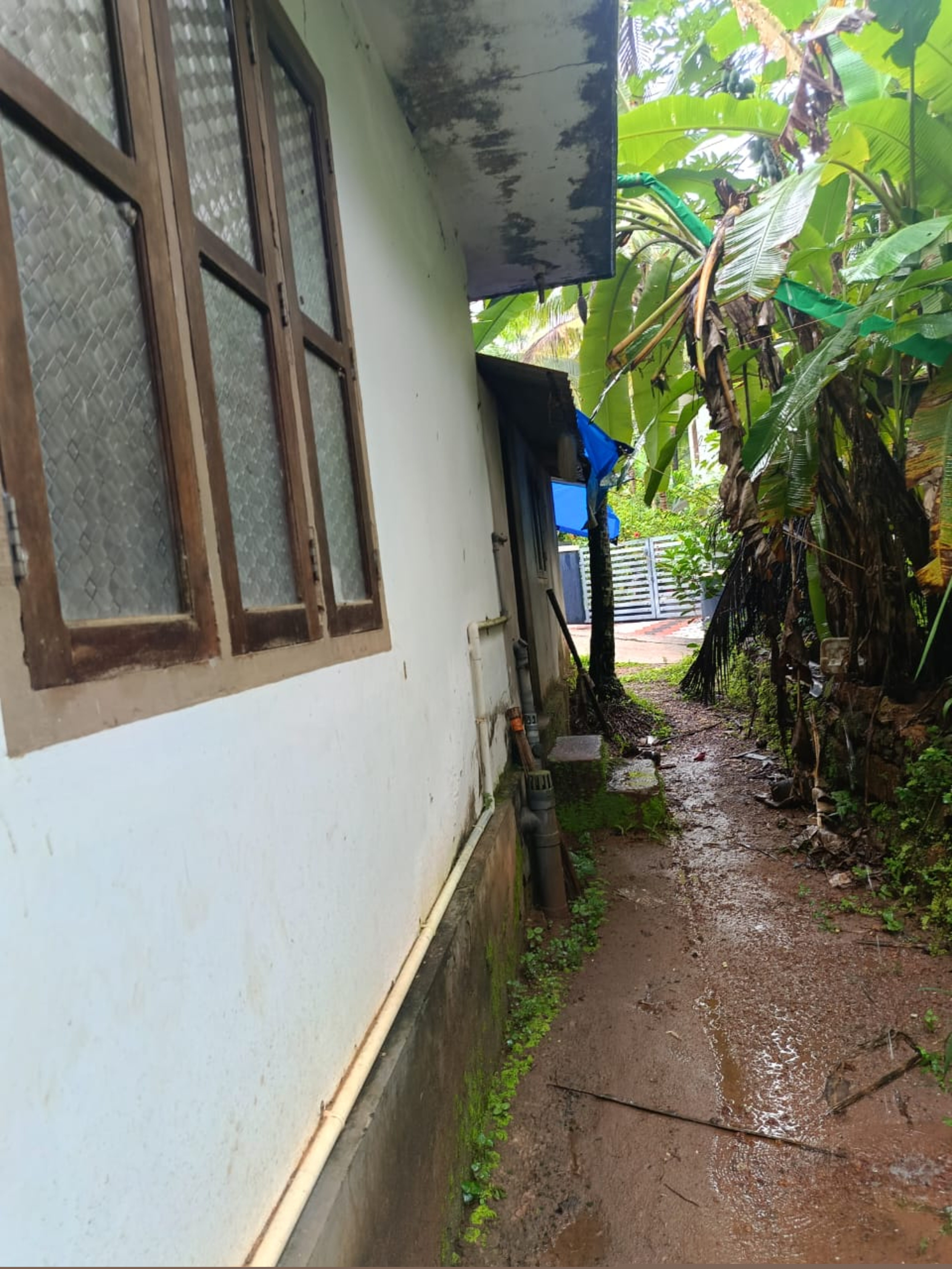 Punjab National Bank Auctions for Residential property in Kannur, Kerala image 5 of 7 in Chockli, Kannur | Punjab National Bank auction property