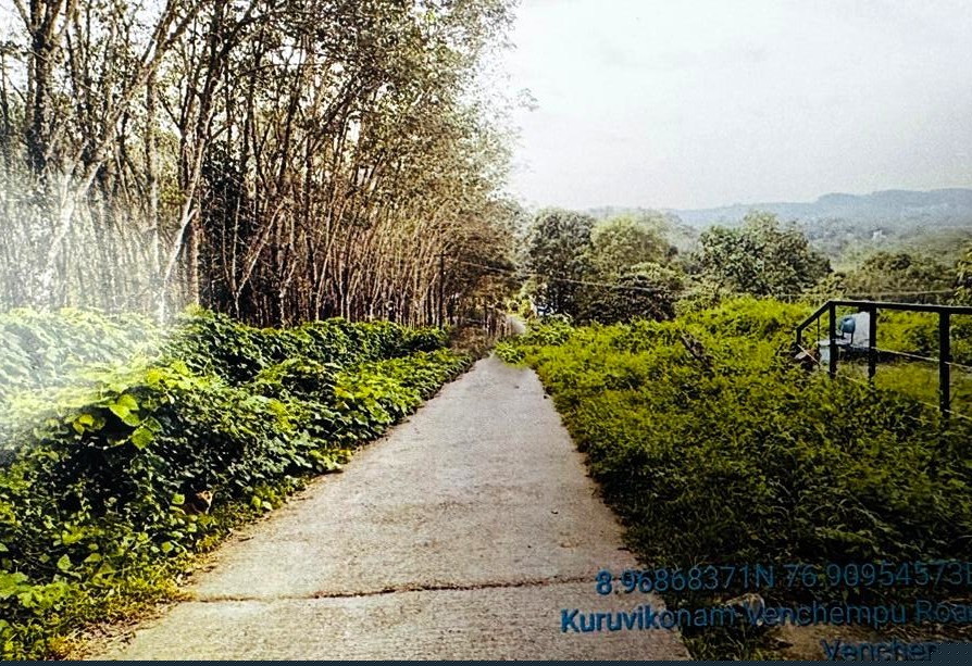 Punjab National Bank Auctions for Residential property in Kollam, Kerala image 2 of 2 in Punalur, Kollam | Punjab National Bank auction property