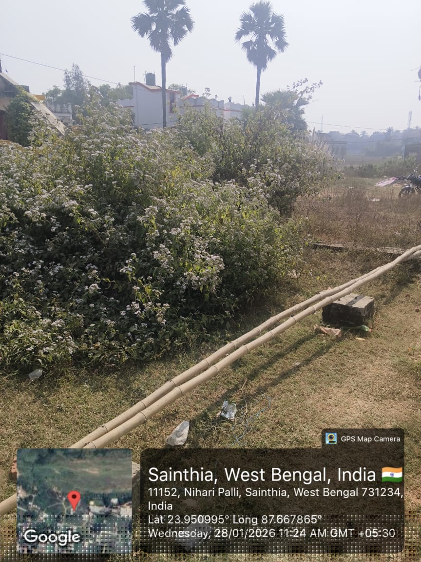 UCO Bank Auctions for Residential property in Birbhum, West Bengal image 2 of 4 in Sainthia, Birbhum | UCO Bank auction property