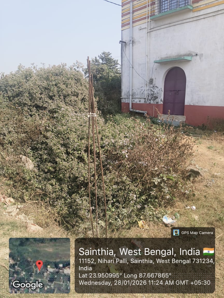 UCO Bank Auctions for Residential property in Birbhum, West Bengal image 4 of 4 in Sainthia, Birbhum | UCO Bank auction property