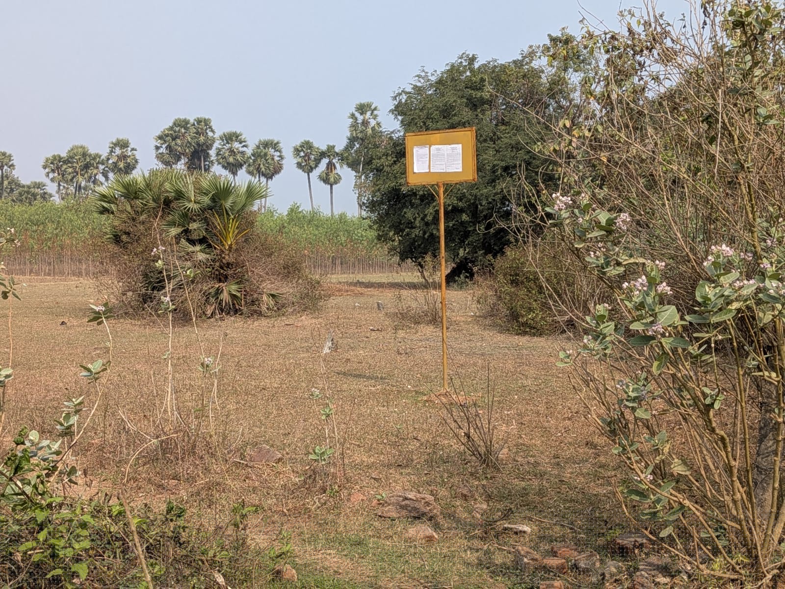 Union Bank of India Auctions for Residential property in Anakapalli, Andhra Pradesh image 2 of 6 in Chodavaram, Anakapalli | Union Bank of India auction property