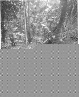 State Bank of India Auctions for Residential property in Malappuram, Kerala image 2 of 2 in Tanalur, Malappuram | State Bank of India auction property