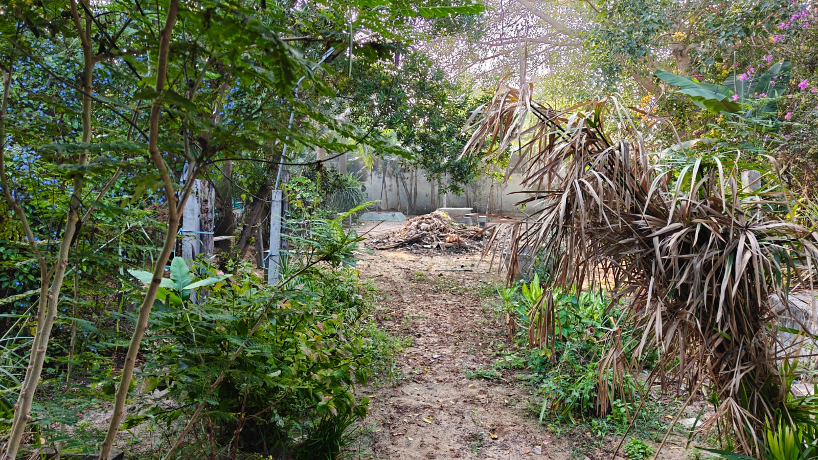 State Bank of India Auctions for Industrials property in Bapatla, Andhra Pradesh image 4 of 4 in Chirala, Bapatla | State Bank of India auction property