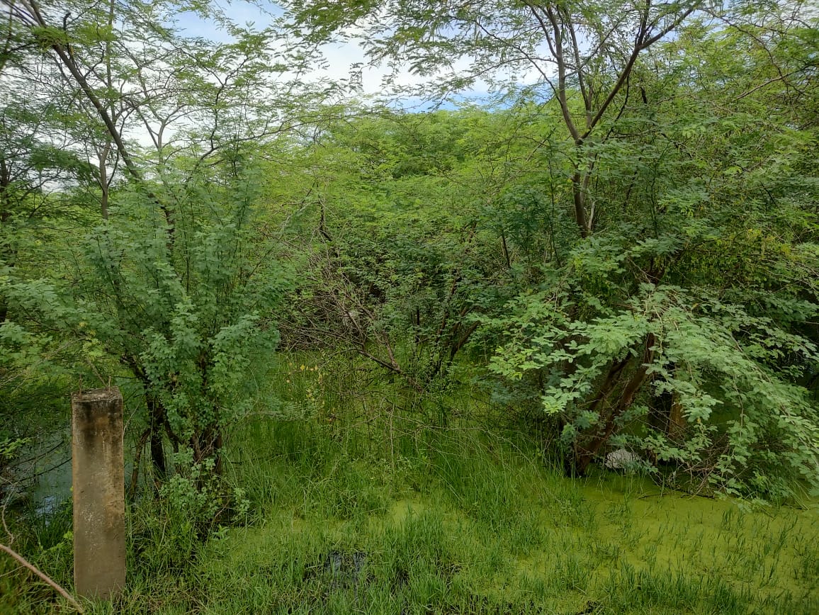 State Bank of India Auctions for Residential property in Kakinada, Andhra Pradesh image 2 of 8 in Tuni, Kakinada | State Bank of India auction property