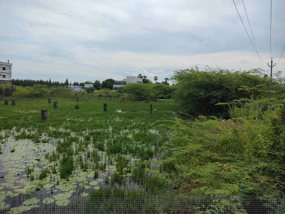 State Bank of India Auctions for Residential property in Kakinada, Andhra Pradesh image 3 of 8 in Tuni, Kakinada | State Bank of India auction property