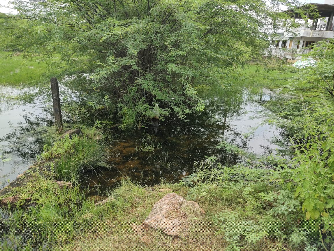 State Bank of India Auctions for Residential property in Kakinada, Andhra Pradesh image 5 of 8 in Tuni, Kakinada | State Bank of India auction property