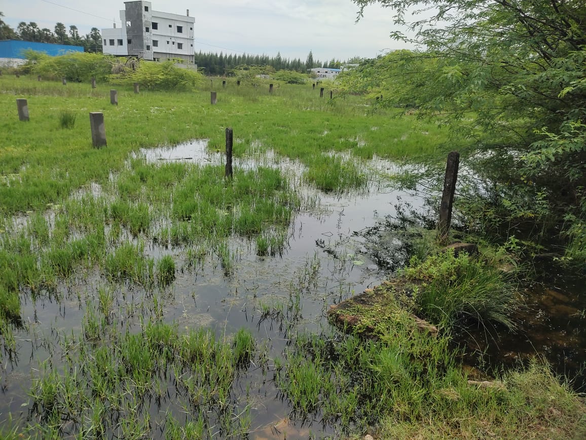 State Bank of India Auctions for Residential property in Kakinada, Andhra Pradesh image 6 of 8 in Tuni, Kakinada | State Bank of India auction property