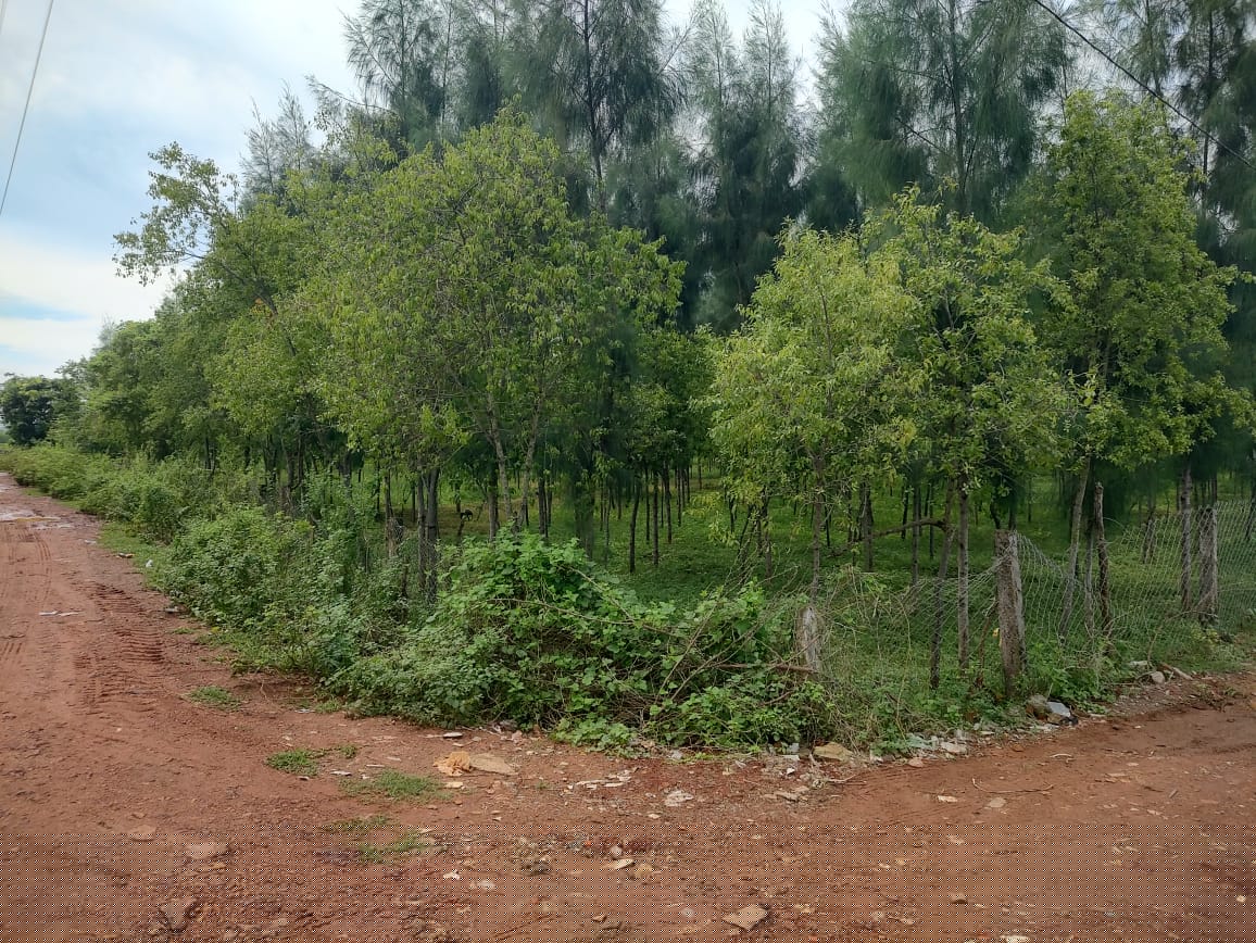 State Bank of India Auctions for Residential property in Kakinada, Andhra Pradesh image 11 of 17 in Tuni, Kakinada | State Bank of India auction property