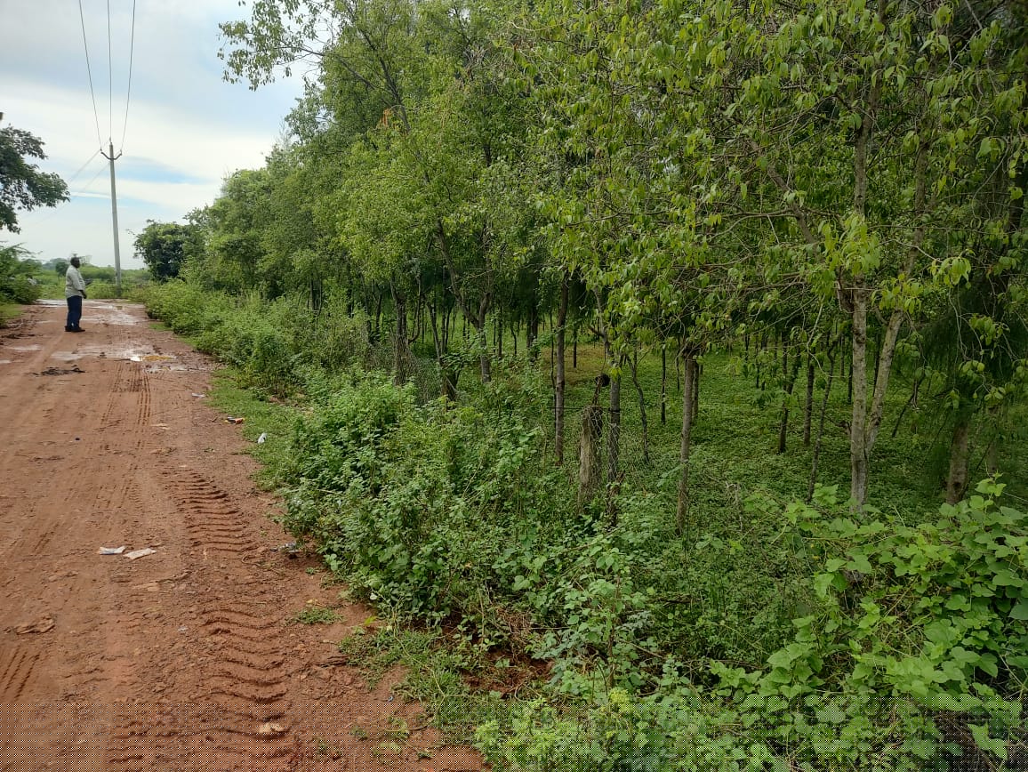 State Bank of India Auctions for Residential property in Kakinada, Andhra Pradesh image 12 of 17 in Tuni, Kakinada | State Bank of India auction property