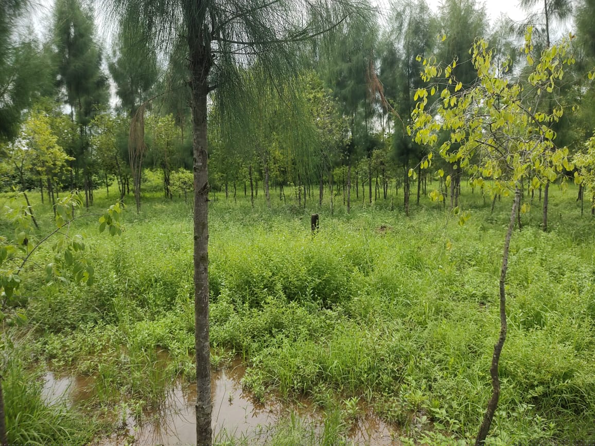 State Bank of India Auctions for Residential property in Kakinada, Andhra Pradesh image 2 of 17 in Tuni, Kakinada | State Bank of India auction property