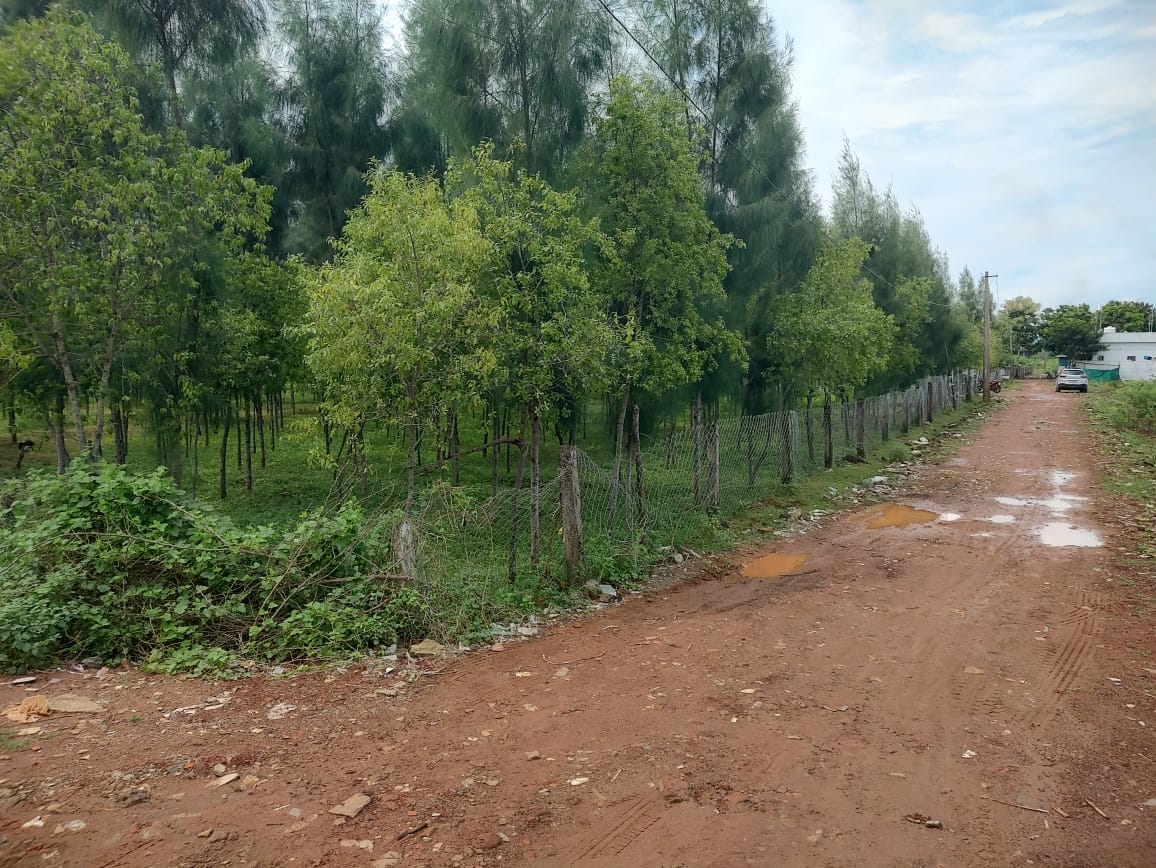 State Bank of India Auctions for Residential property in Kakinada, Andhra Pradesh image 8 of 17 in Tuni, Kakinada | State Bank of India auction property