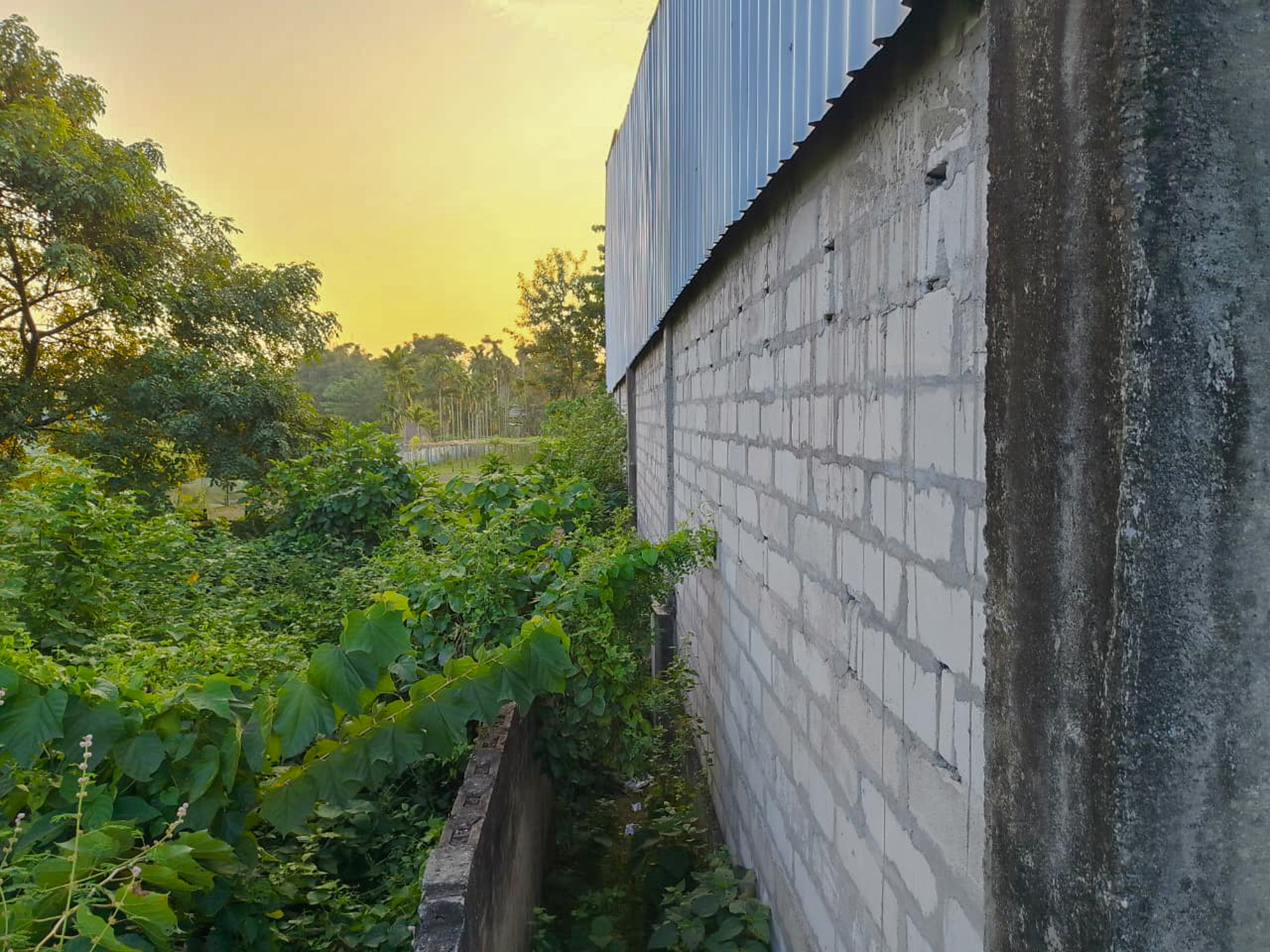 Union Bank of India Auctions for Commercial property in Darrang, Assam image 9 of 25 in Dalgaon, Darrang | Union Bank of India auction property