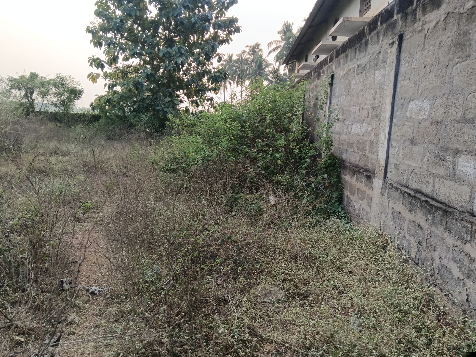 Union Bank of India Auctions for Industrials property in East Godavari, Andhra Pradesh image 2 of 3 in Anaparthi, East Godavari | Union Bank of India auction property