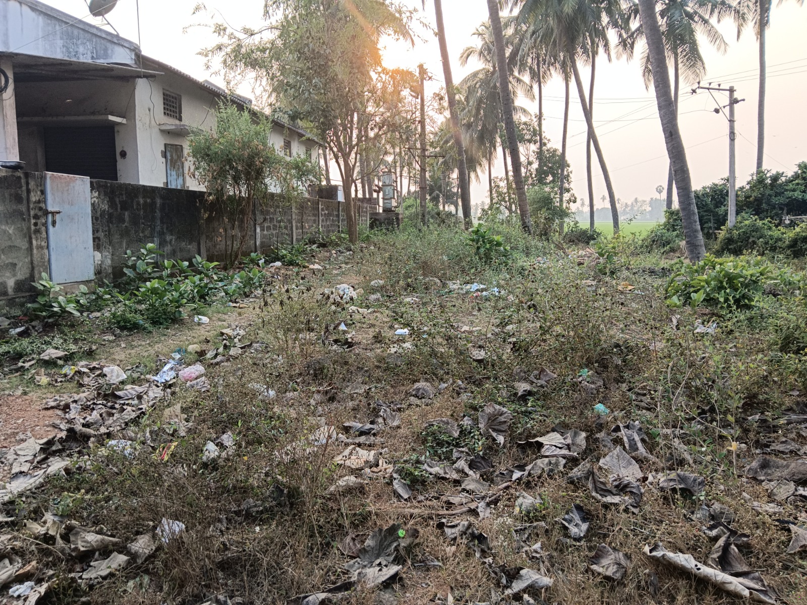 Union Bank of India Auctions for Industrials property in East Godavari, Andhra Pradesh image 3 of 3 in Anaparthi, East Godavari | Union Bank of India auction property