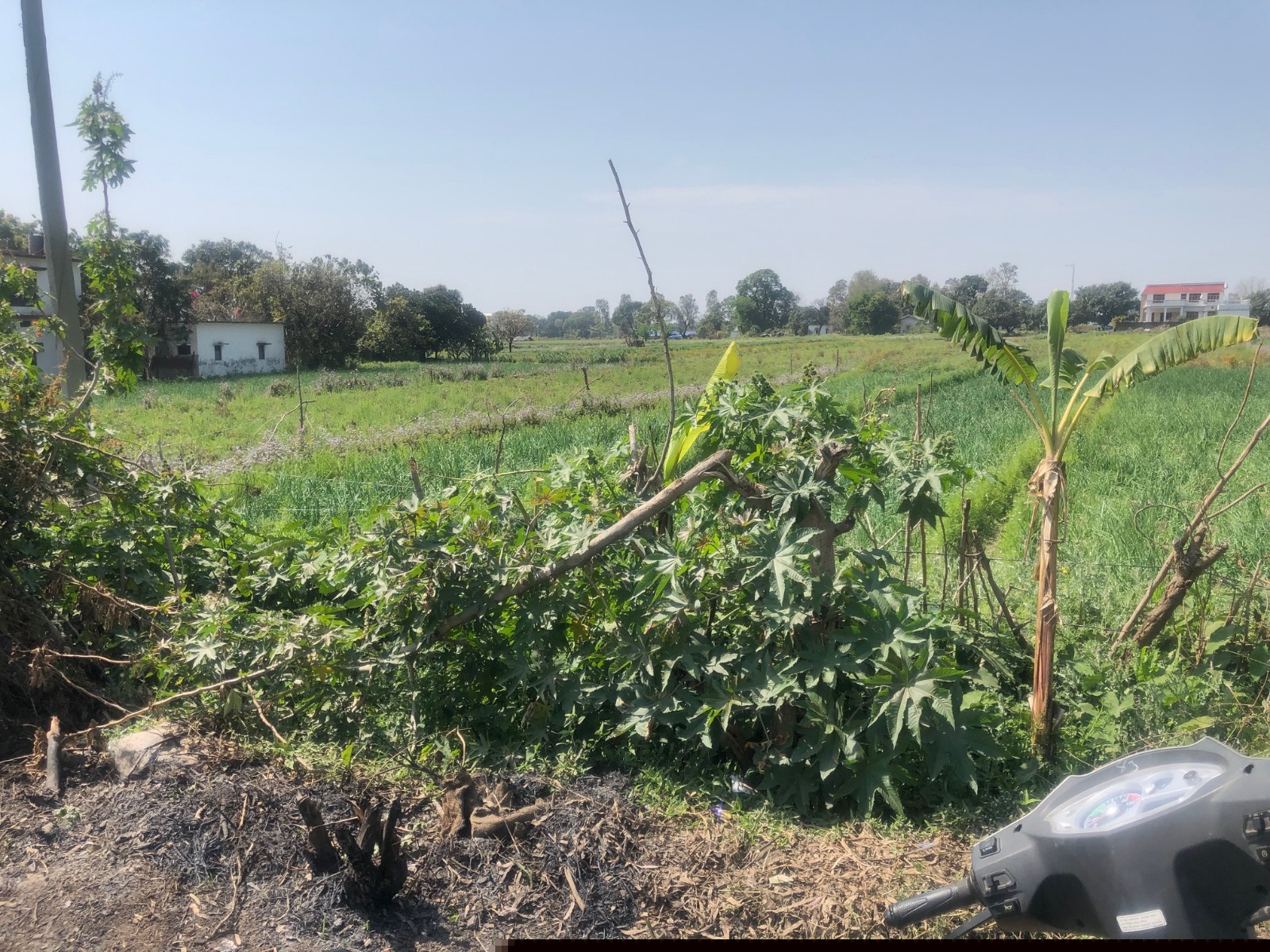 Union Bank of India Auctions for Residential property in Nainital, Uttarakhand image 2 of 4 in Fatehpur Range Civil Township, Nainital | Union Bank of India auction property