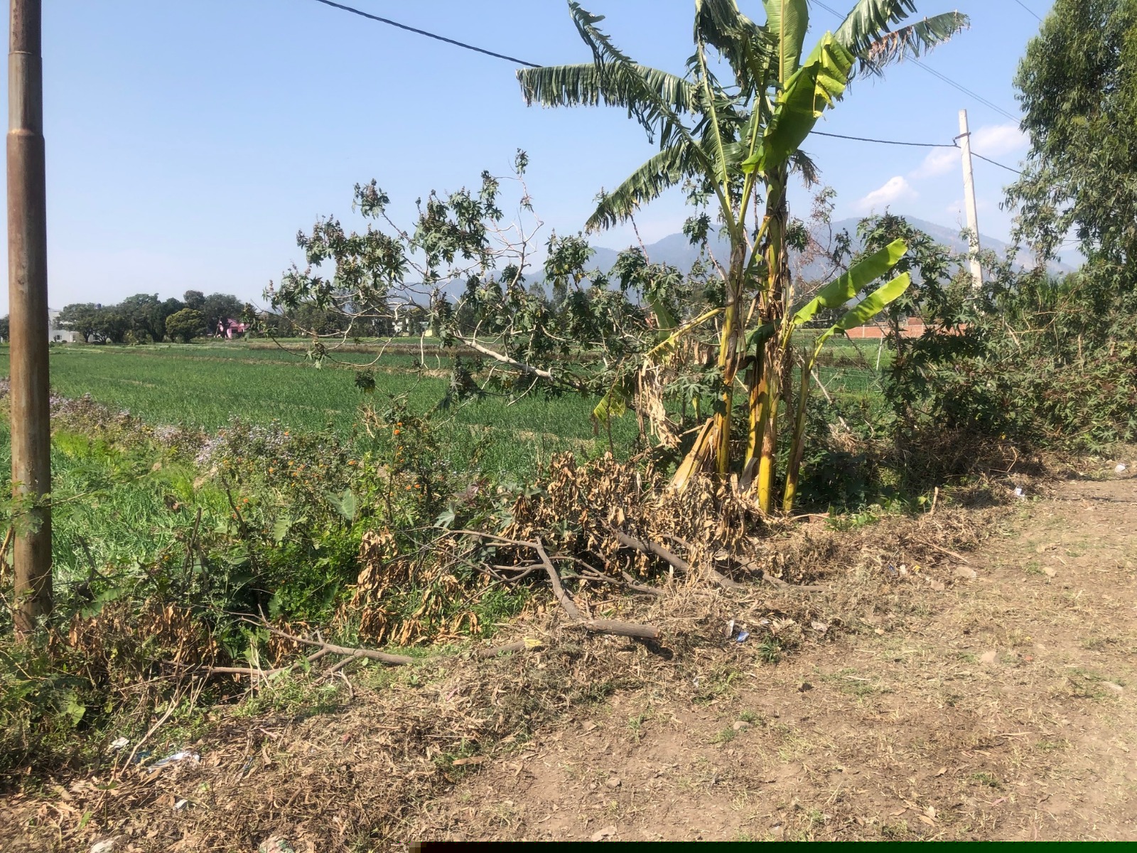 Union Bank of India Auctions for Residential property in Nainital, Uttarakhand image 3 of 4 in Fatehpur Range Civil Township, Nainital | Union Bank of India auction property