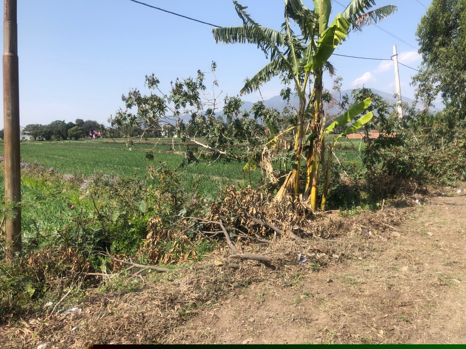 Union Bank of India Auctions for Residential property in Nainital, Uttarakhand image 4 of 4 in Fatehpur Range Civil Township, Nainital | Union Bank of India auction property