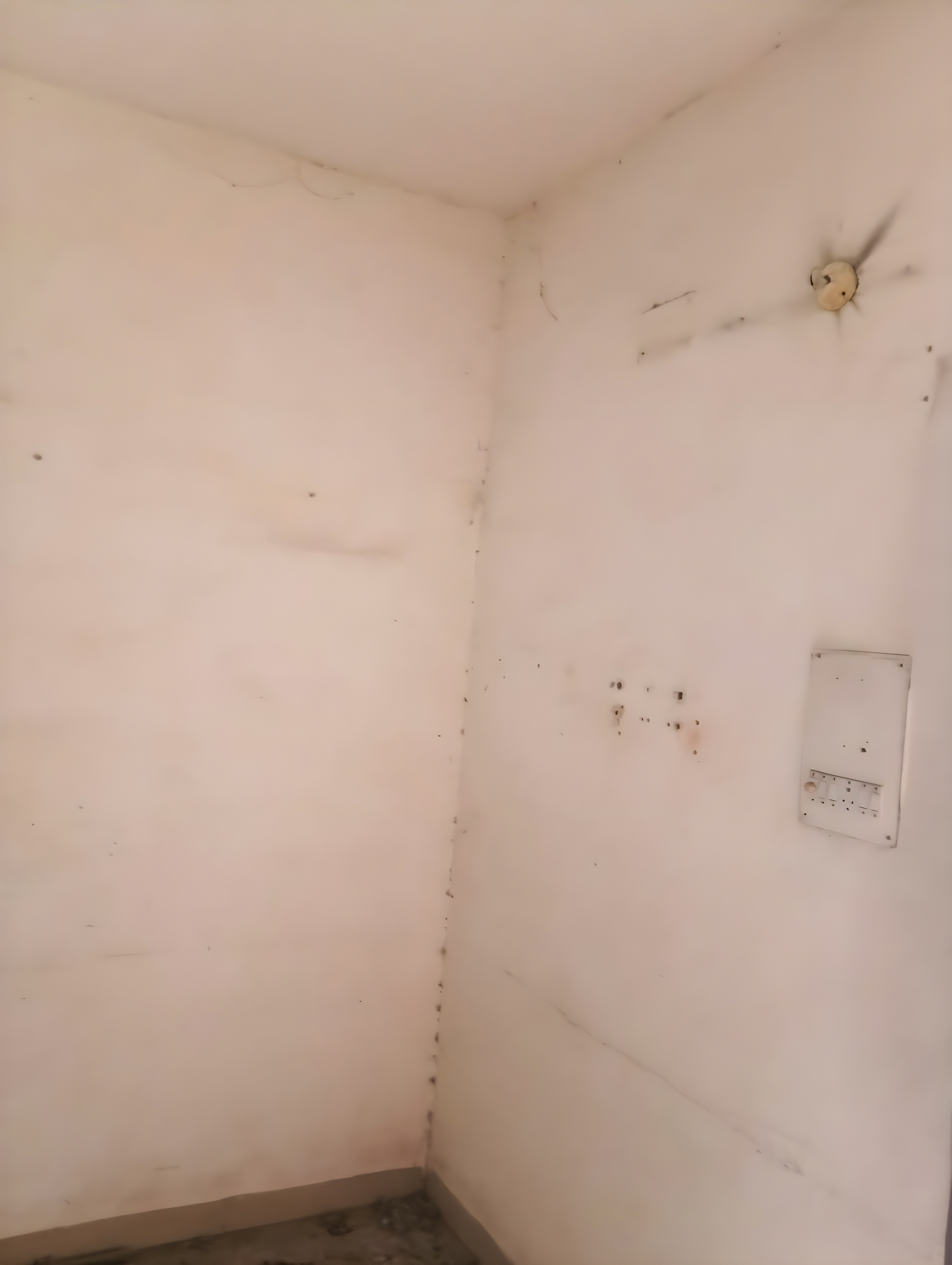 Bank of Baroda Auctions for Residential property in Chandigarh, Punjab image 15 of 17 in Chandigarh, Chandigarh | Bank of Baroda auction property