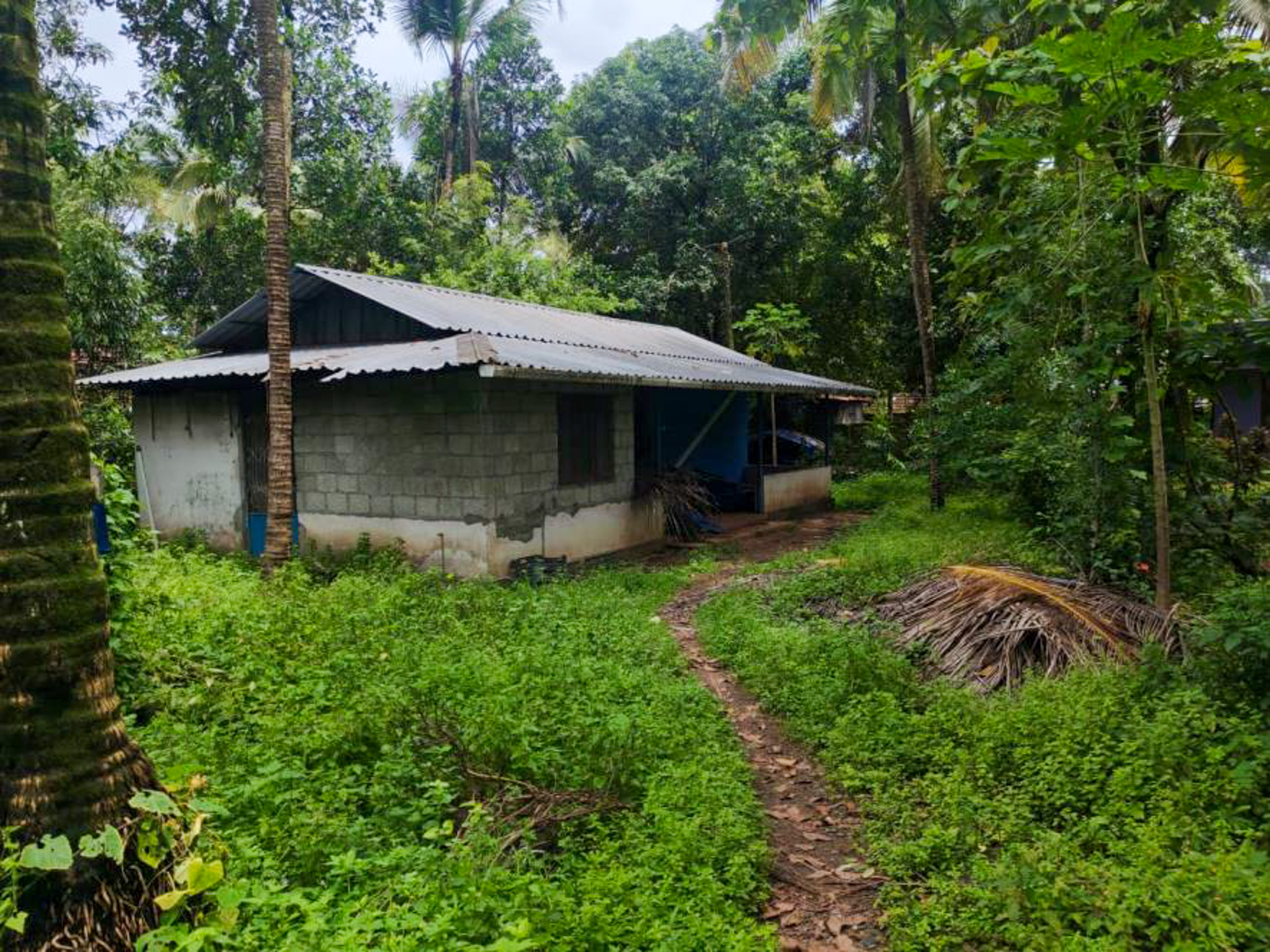 Bank of Baroda Auctions for Residential property in Thrissur, Kerala image 10 of 26 in Edakkazhiyur, Thrissur | Bank of Baroda auction property