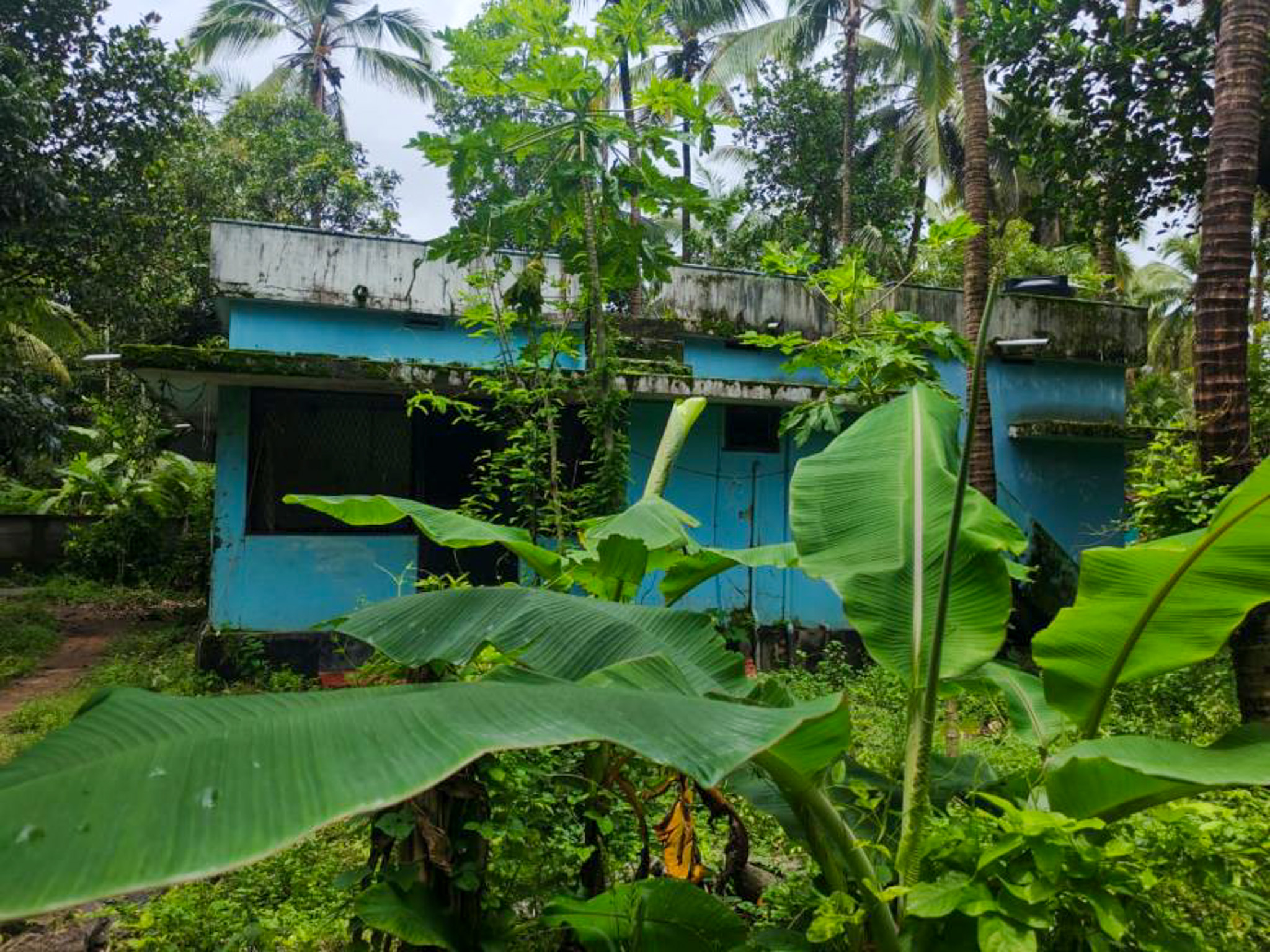 Bank of Baroda Auctions for Residential property in Thrissur, Kerala image 8 of 26 in Edakkazhiyur, Thrissur | Bank of Baroda auction property