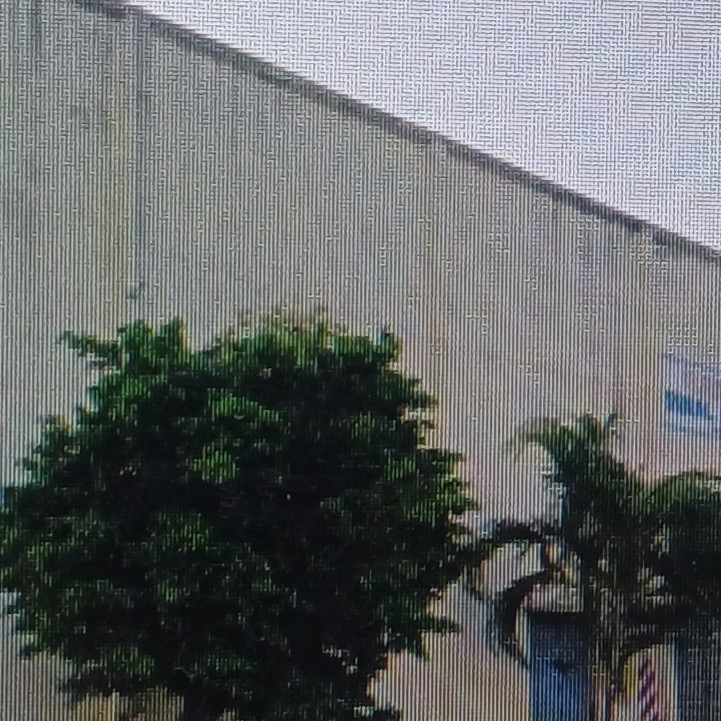 Punjab National Bank Auctions for Residential property in Guntur, Andhra Pradesh image 2 of 3 in Nadendla, Guntur | Punjab National Bank auction property