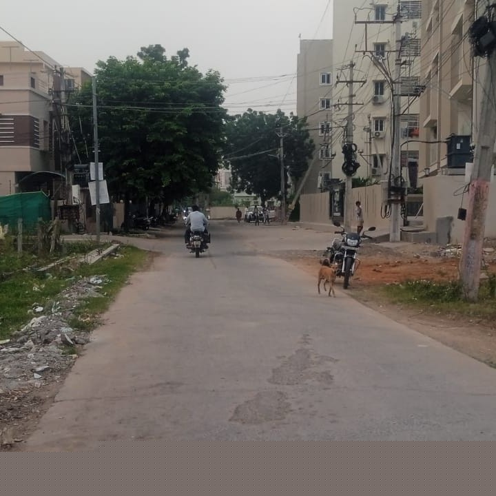 Punjab National Bank Auctions for Residential property in Guntur, Andhra Pradesh image 2 of 3 in Guntur, Guntur | Punjab National Bank auction property