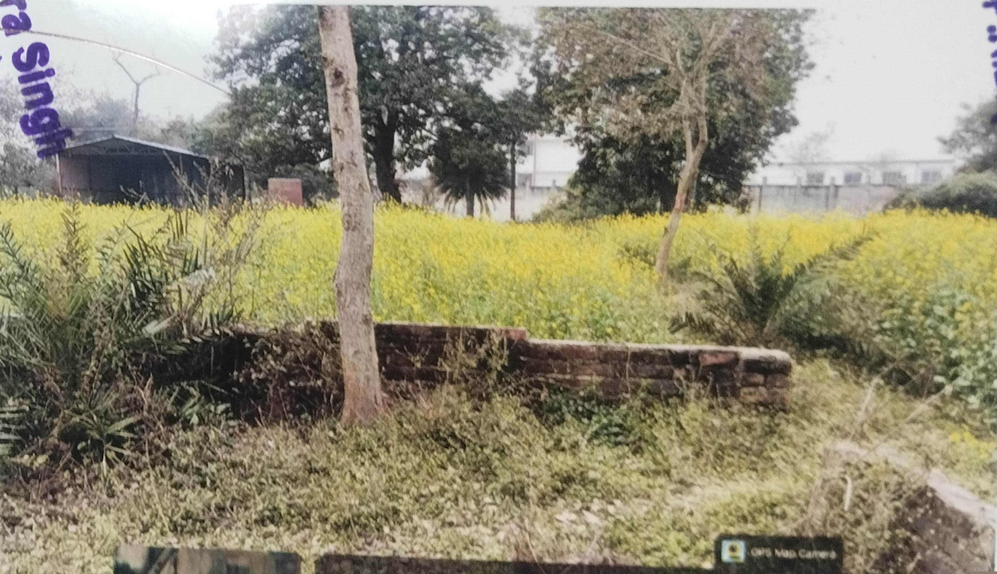 Punjab National Bank Auctions for Residential property in Bhojpur, Bihar image 3 of 3 in Arrah, Bhojpur | Punjab National Bank auction property