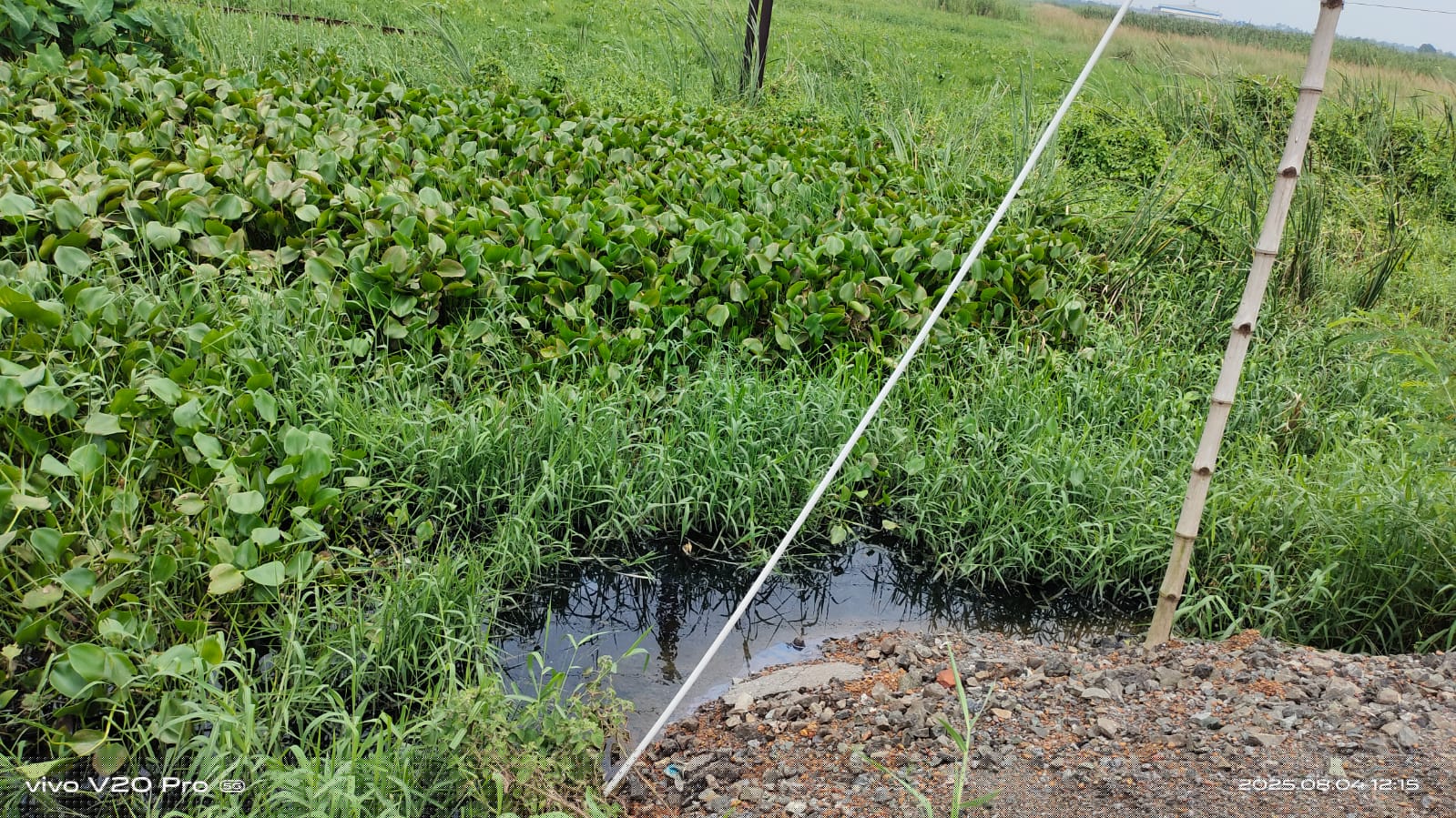 Punjab National Bank Auctions for Residential property in Hooghly, West Bengal image 4 of 8 in Dankuni, Hooghly | Punjab National Bank auction property