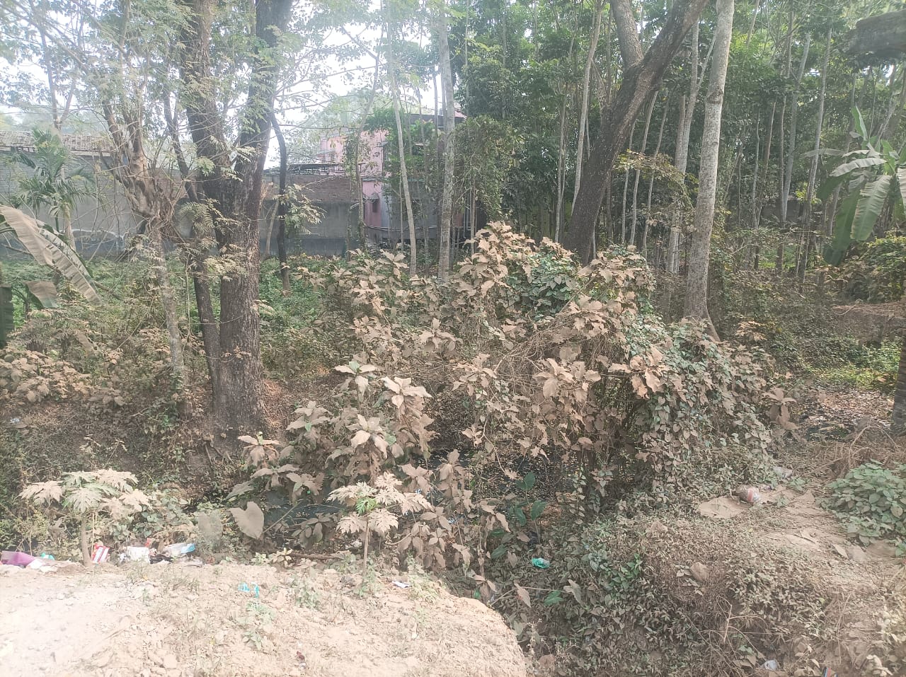 Punjab National Bank Auctions for Residential property in Paschim Medinipur, West Bengal image 2 of 10 in Ghatal, Paschim Medinipur | Punjab National Bank auction property