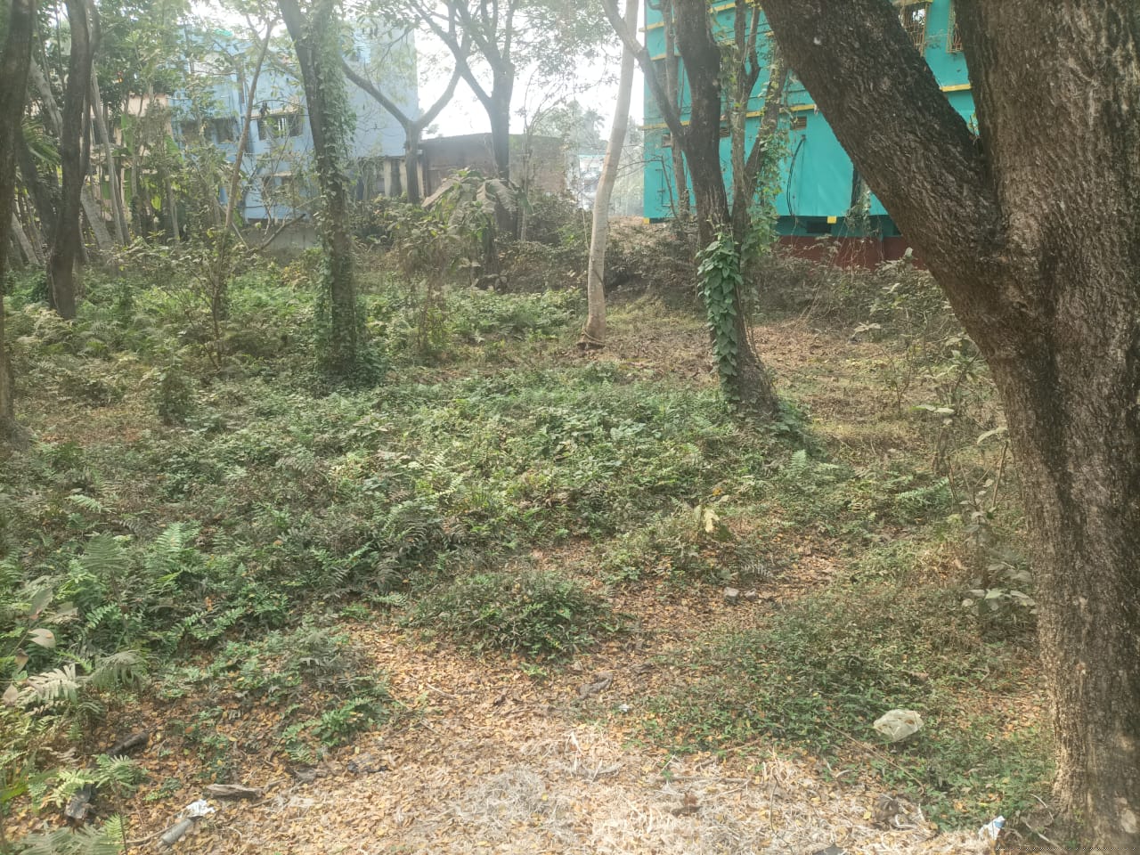 Punjab National Bank Auctions for Residential property in Paschim Medinipur, West Bengal image 4 of 10 in Ghatal, Paschim Medinipur | Punjab National Bank auction property