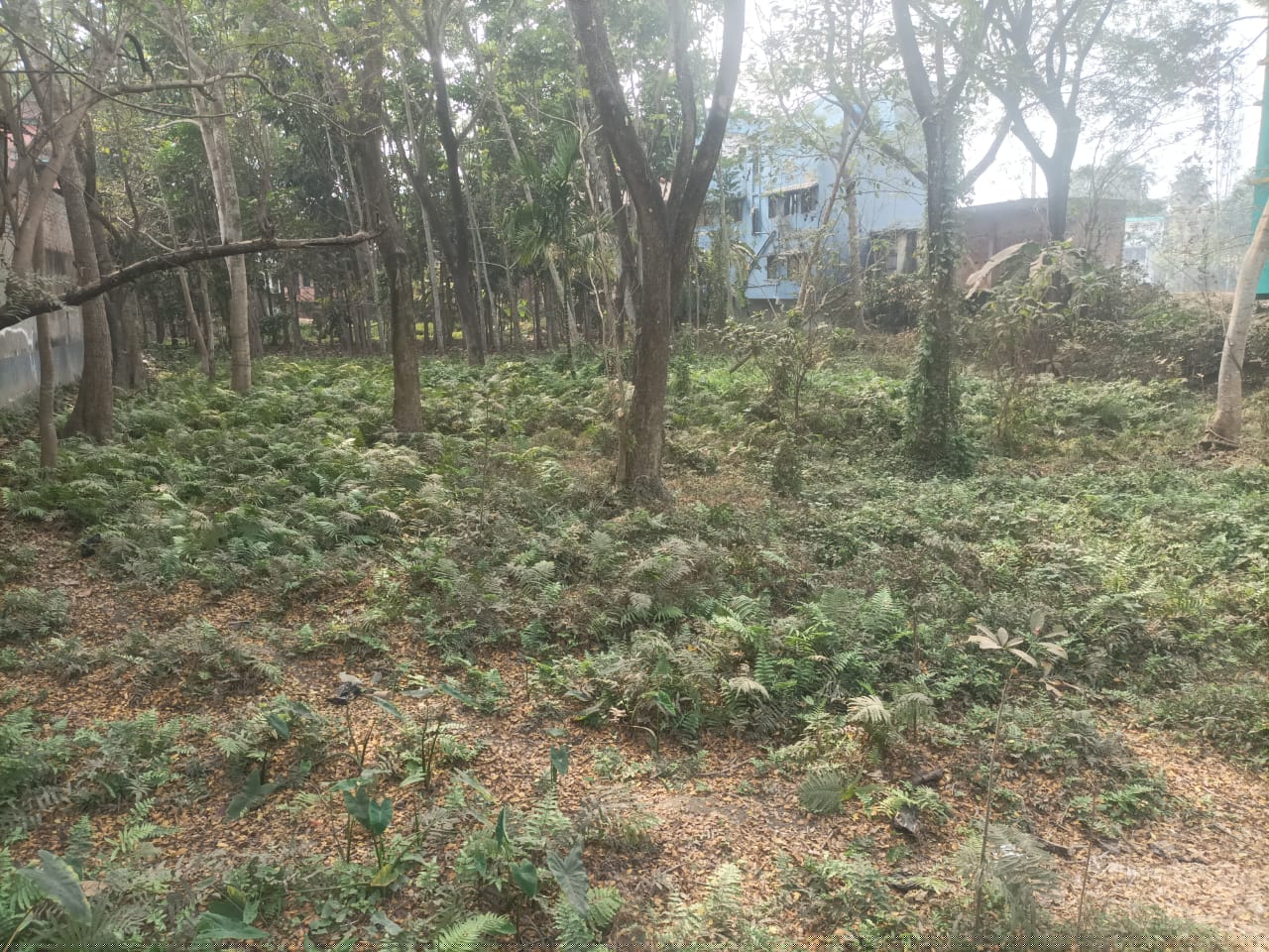 Punjab National Bank Auctions for Residential property in Paschim Medinipur, West Bengal image 6 of 10 in Ghatal, Paschim Medinipur | Punjab National Bank auction property