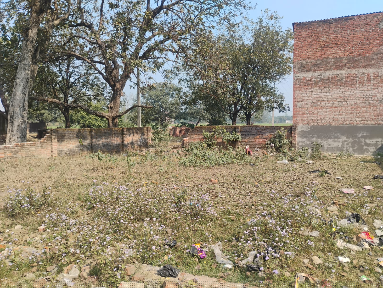 Bank of Baroda Auctions for Residential property in Amethi, Uttar Pradesh image 3 of 4 in Kathaura, Amethi | Bank of Baroda auction property