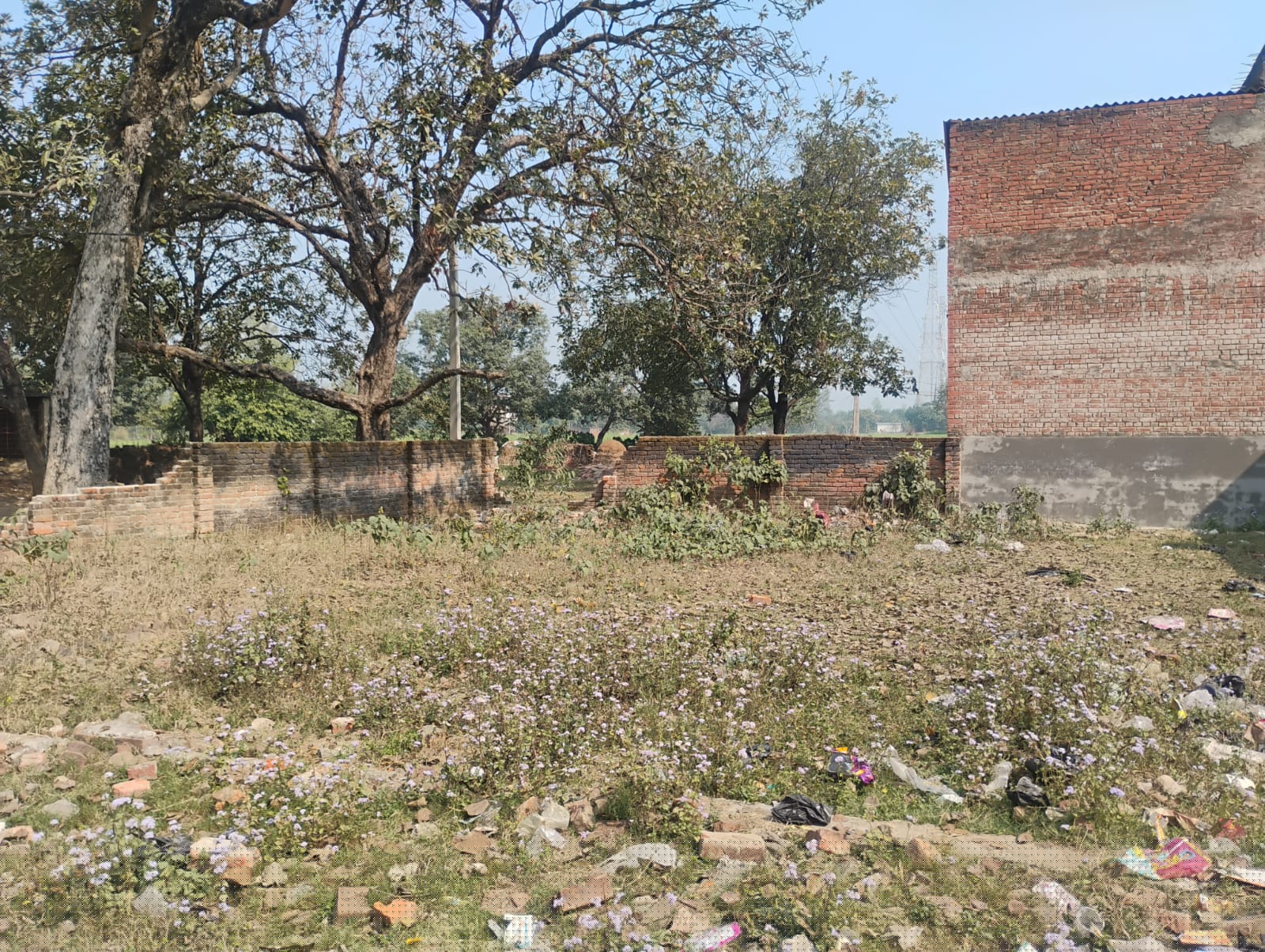 Bank of Baroda Auctions for Residential property in Amethi, Uttar Pradesh image 4 of 4 in Kathaura, Amethi | Bank of Baroda auction property