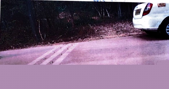 Bank of Baroda Auctions for Residential property in Ernakulam, Kerala image 2 of 4 in Vazhakulam, Ernakulam | Bank of Baroda auction property