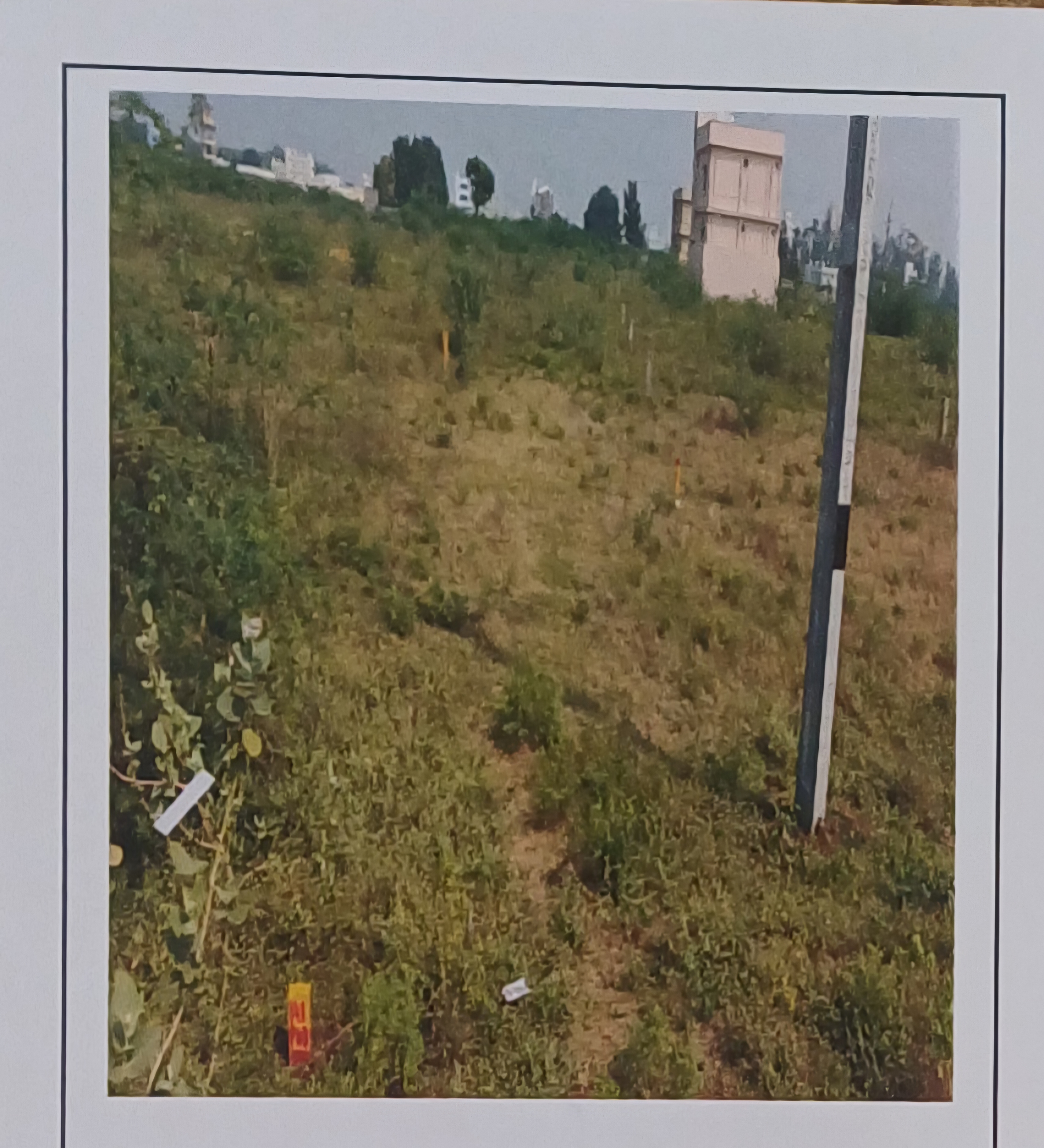 Punjab National Bank Auctions for Residential property in Prakasam, Andhra Pradesh image 3 of 3 in Ongole, Prakasam | Punjab National Bank auction property