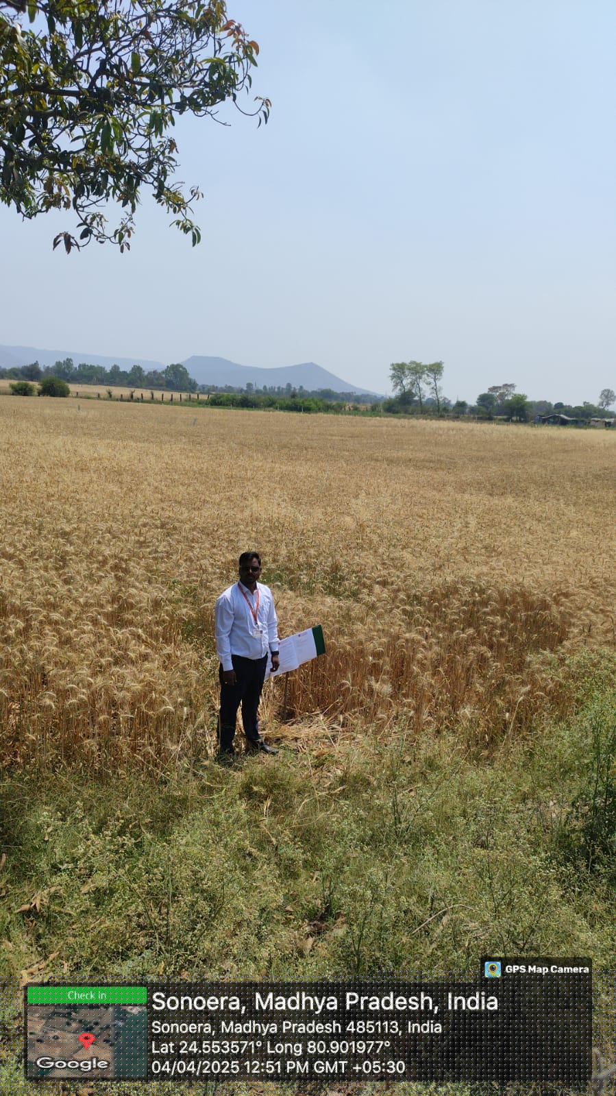 Bank of Baroda Auctions for Industrials property in Satna, Uttar Pradesh image 2 of 2 in Satna, Satna | Bank of Baroda auction property