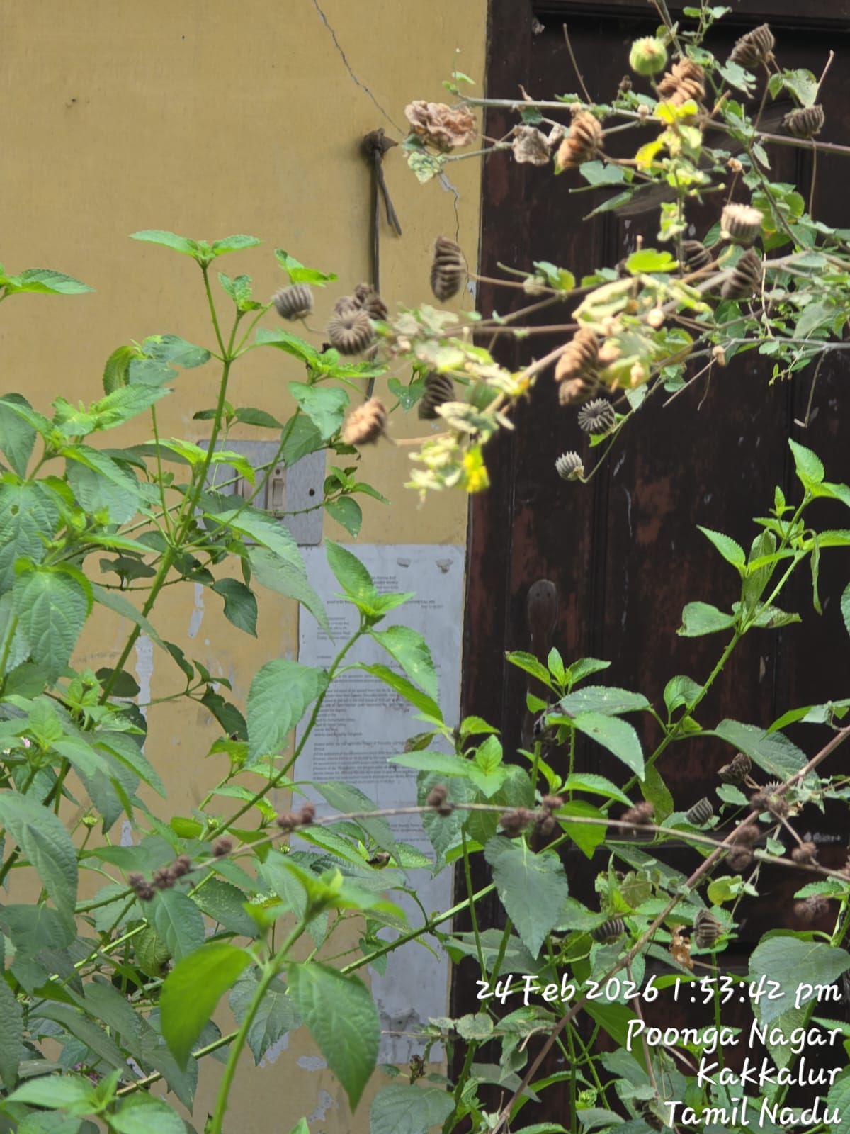 Punjab National Bank Auctions for Residential property in Chennai, Tamil Nadu image 3 of 3 in Chennai, Chennai | Punjab National Bank auction property