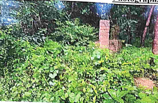 Bank of Baroda Auctions for Residential property in Dakshina Kannada, Karnataka image 2 of 4 in Adyar, Dakshina Kannada | Bank of Baroda auction property