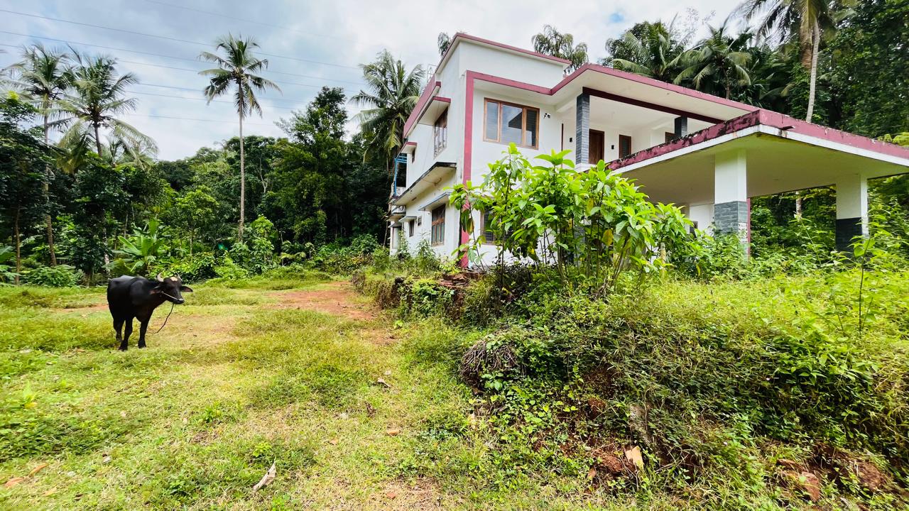 Bank of Baroda Auctions for Residential property in Kozhikode, Kerala image 2 of 4 in Chelannur, Kozhikode | Bank of Baroda auction property