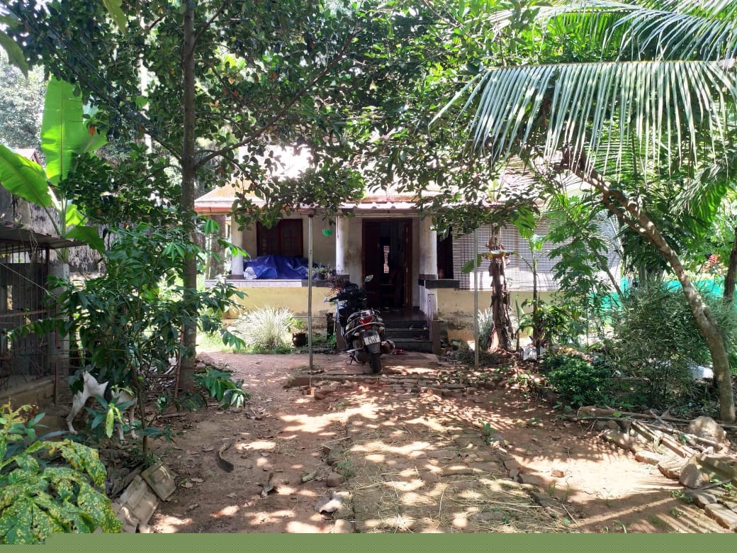 Punjab National Bank Auctions for Residential property in Pathanamthitta, Kerala image 3 of 7 in Thiruvalla, Pathanamthitta | Punjab National Bank auction property