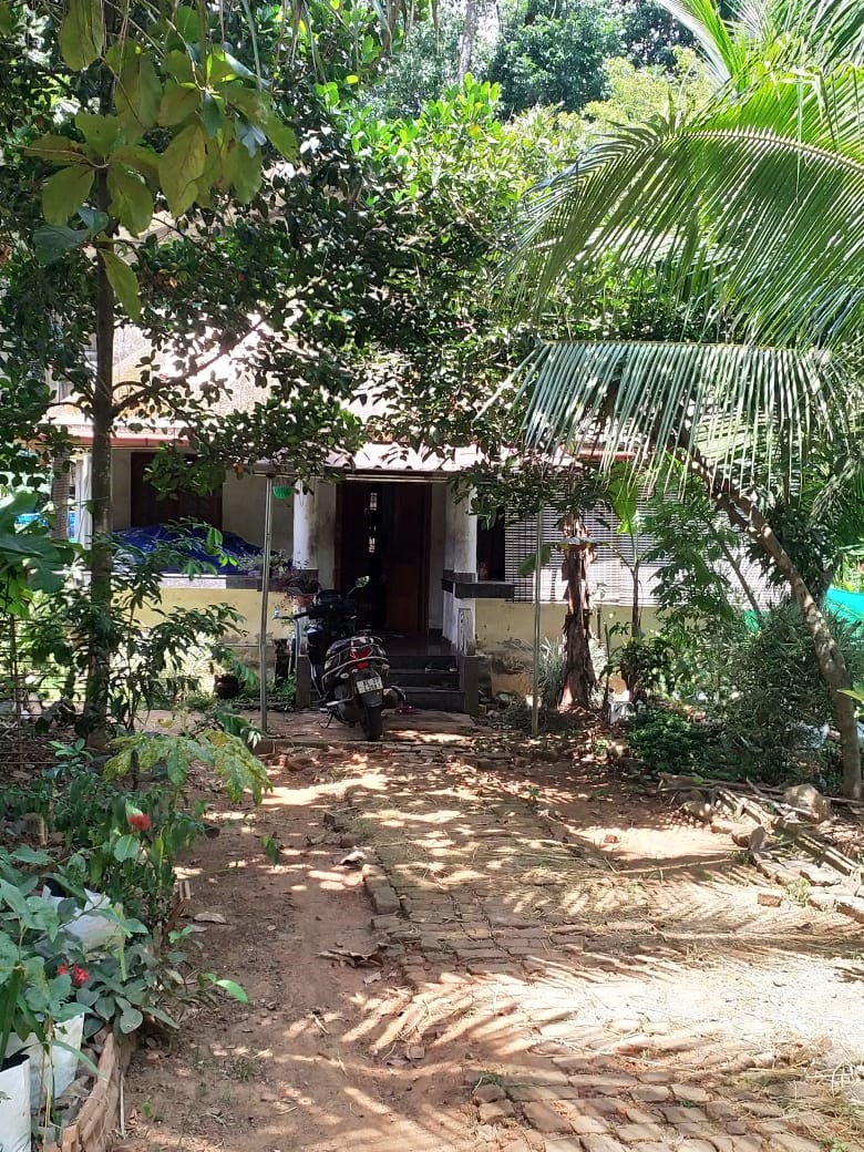 Punjab National Bank Auctions for Residential property in Pathanamthitta, Kerala image 5 of 7 in Thiruvalla, Pathanamthitta | Punjab National Bank auction property