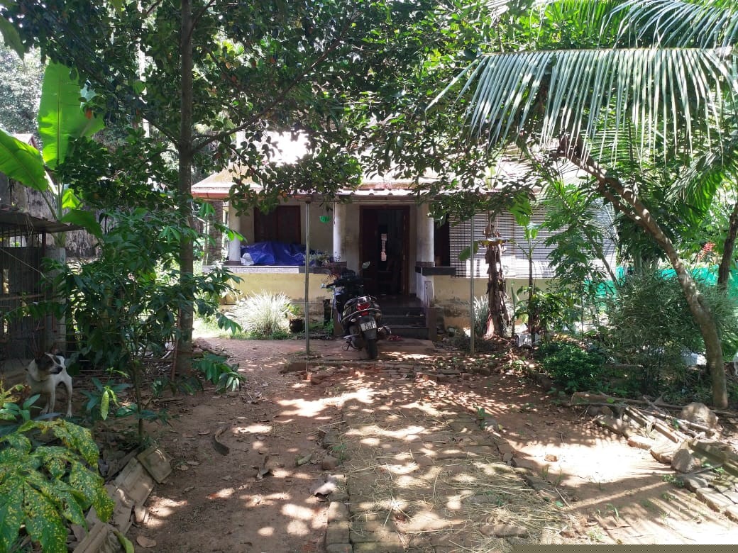 Punjab National Bank Auctions for Residential property in Pathanamthitta, Kerala image 6 of 7 in Thiruvalla, Pathanamthitta | Punjab National Bank auction property