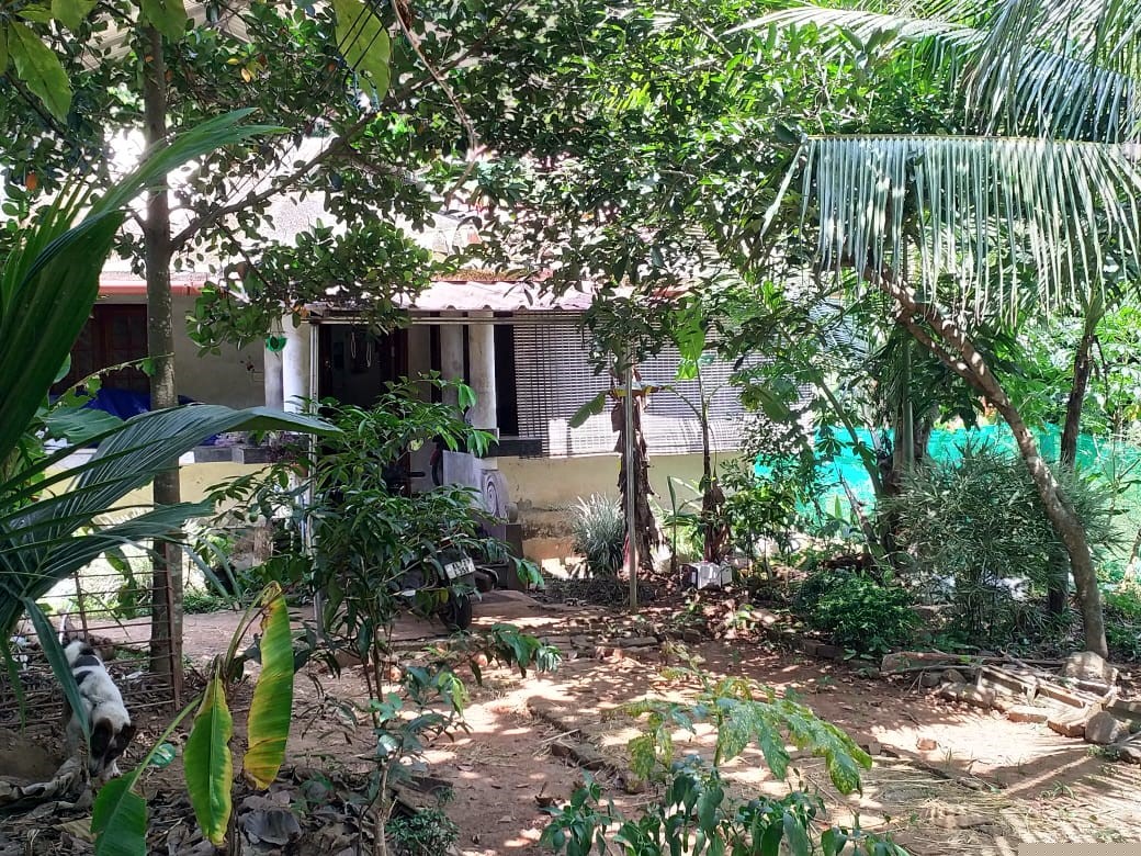 Punjab National Bank Auctions for Residential property in Pathanamthitta, Kerala image 7 of 7 in Thiruvalla, Pathanamthitta | Punjab National Bank auction property