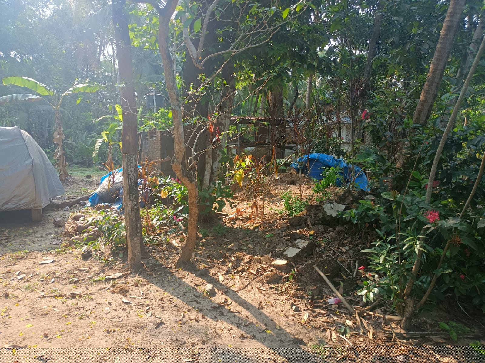 Indian Bank Auctions for Residential property in Thrissur, Kerala image 2 of 3 in Chavakkad, Thrissur | Indian Bank auction property