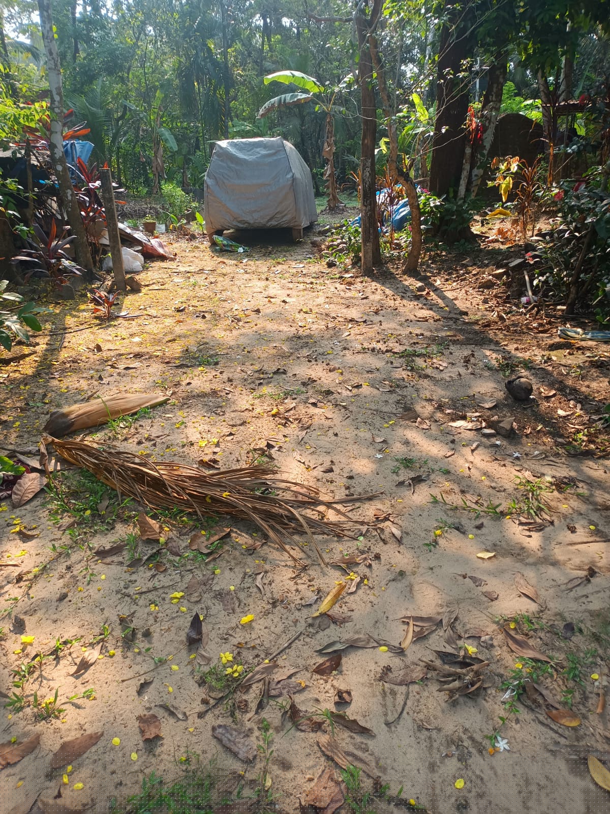 Indian Bank Auctions for Residential property in Thrissur, Kerala image 3 of 3 in Chavakkad, Thrissur | Indian Bank auction property