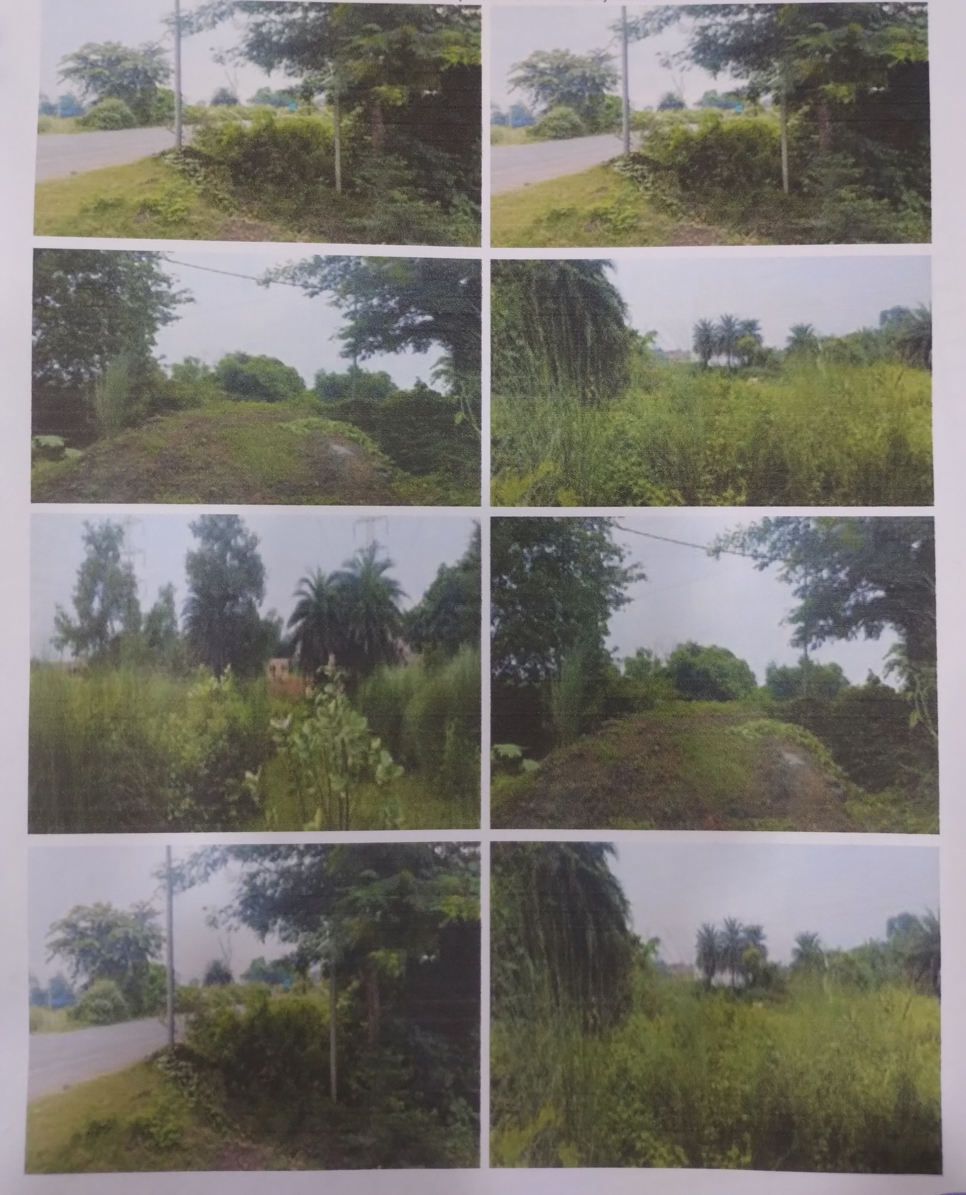 Punjab National Bank Auctions for Residential property in Paschim Bardhaman, West Bengal image 3 of 3 in Asansol, Paschim Bardhaman | Punjab National Bank auction property