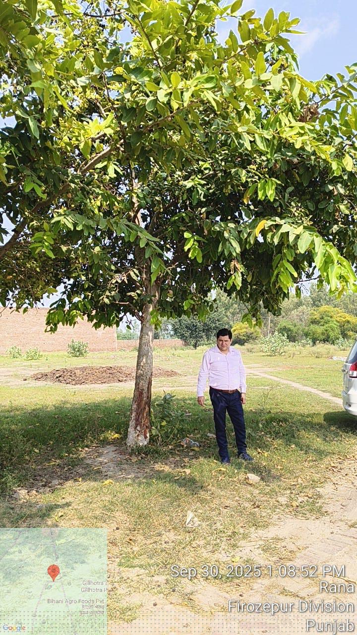 Punjab National Bank Auctions for Industrials property in Fazilka, Punjab image 2 of 2 in Fazilka, Fazilka | Punjab National Bank auction property